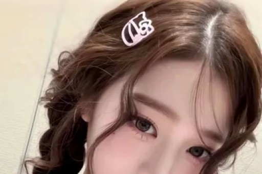 罗永浩怒怼保时捷
